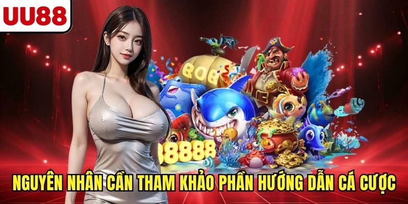 Nguyên nhân cần tham khảo phần hướng dẫn cá cược